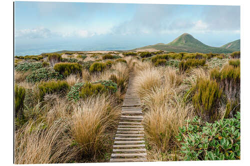 Gallery Print Einsamer Wanderweg durch Nationalpark