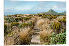 Gallery print Lonely hiking trail through national park