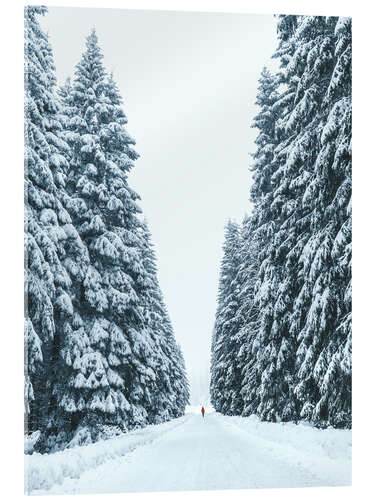 Akryylilasitaulu Snowy forest