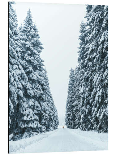 Aluminium print Snowy forest