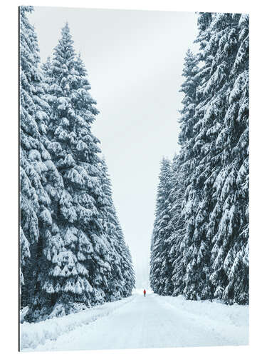 Galleriprint Snowy forest