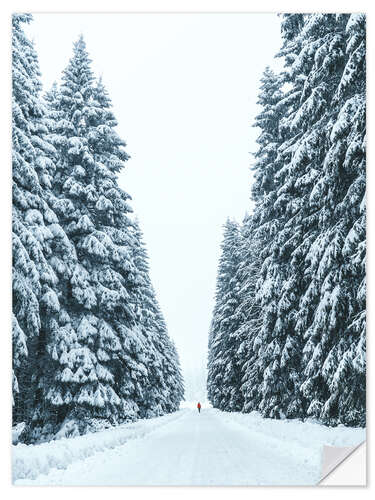 Wall sticker Snowy forest