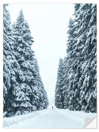 Wall sticker Snowy forest