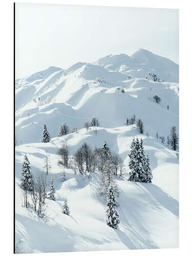 Alubild Verschneite Winterlandschaft