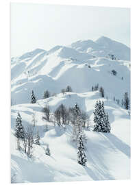 Bilde på skumplate Snowy winter landscape in Slovenia