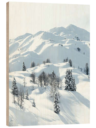 Wood print Snowy winter landscape in Slovenia