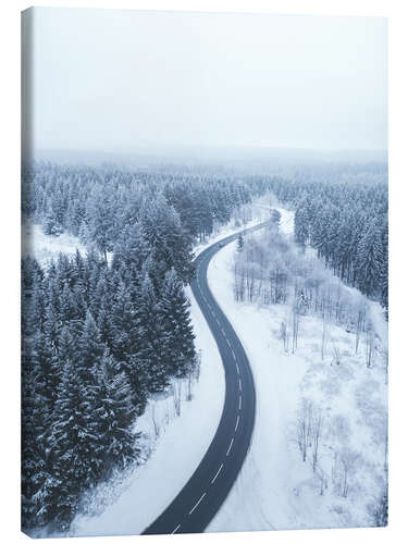 Canvas print Winter in the Harz