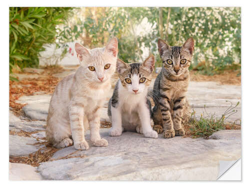 Sisustustarra Three little kittens