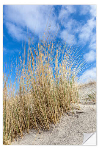 Naklejka na ścianę Dunes and beach grass on the Baltic Sea