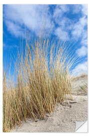 Selvklebende plakat Dunes and beach grass on the Baltic Sea