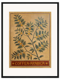 Gerahmter Kunstdruck Arabica-Kaffee