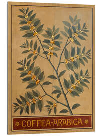 Magnettafel Arabica-Kaffee