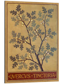 Magnettafel Färber-Eiche