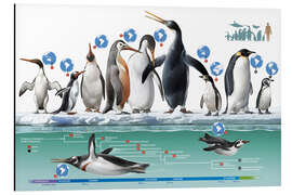 Magnettafel Lebende und Ausgestorbene Pinguine