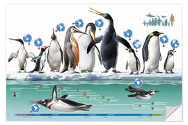 Selvklæbende plakat Living and extinct penguins