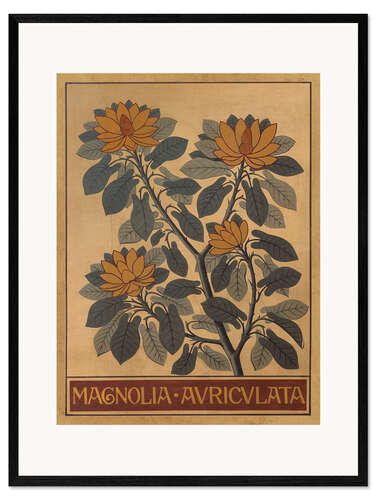 Impressão artística com moldura Montanha Magnolia