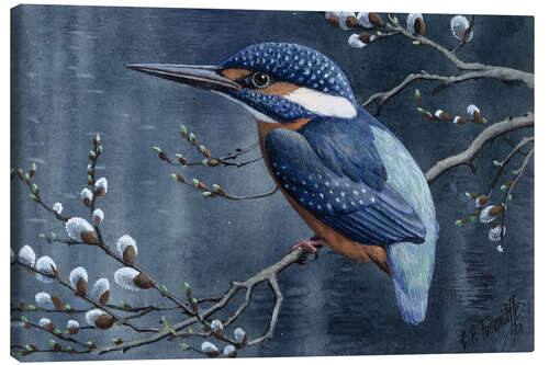 Canvas print Kingfisher