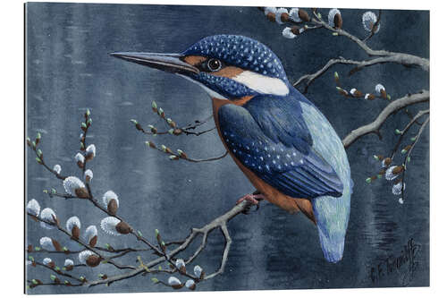 Galleriprint Kingfisher