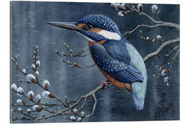 Gallery print Kingfisher