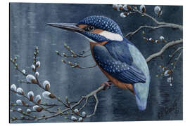 Magnettafel Eisvogel