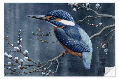 Muursticker Kingfisher