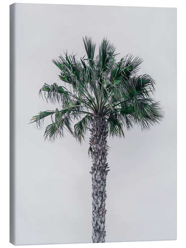 Lærredsbillede Palm