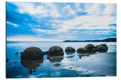 Aluminiumsbilde Blue hour at the Moeraki Boulders