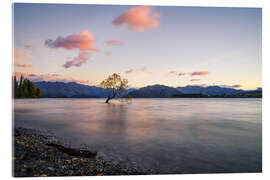 Akrylbilde Lonely Tree, New Zealand