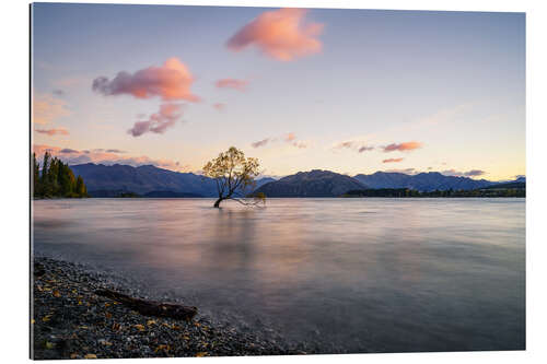 Galleriprint Lonely Tree, New Zealand