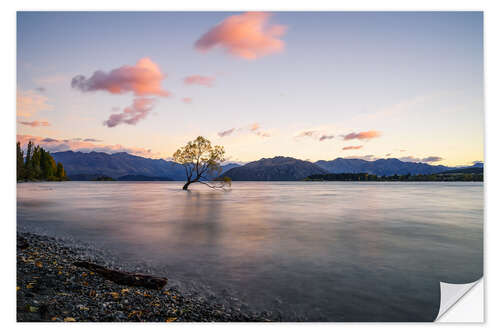 Sisustustarra Lonely Tree, New Zealand