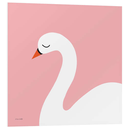 Foam board print Swan