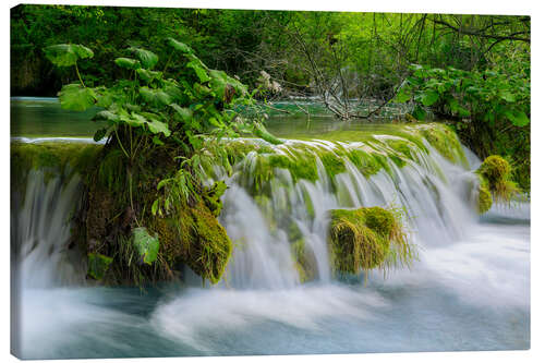 Canvas print Waterfall in the fairy forest