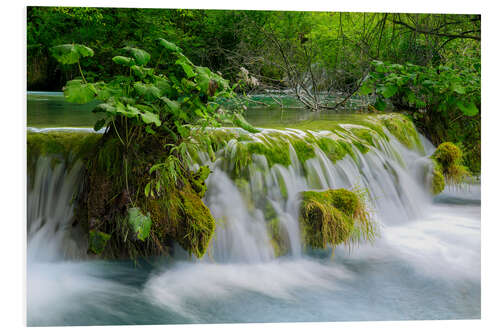 Foam board print Waterfall in the fairy forest