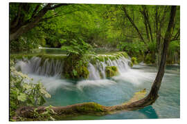 Alumiinitaulu Waterfall in the fairy forest