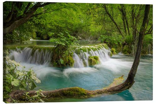 Canvastavla Waterfall in the fairy forest