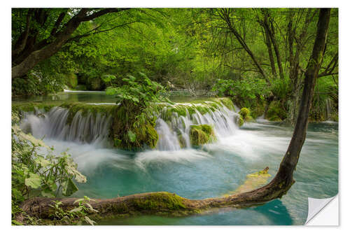 Naklejka na ścianę Waterfall in the fairy forest