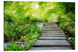 Aluminium print Wooden footbridge in the fairy forest