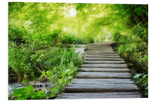 Tableau en PVC Passerelle en bois dans une forêt féerique