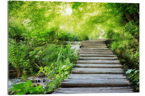 Gallery print Wooden footbridge in the fairy forest