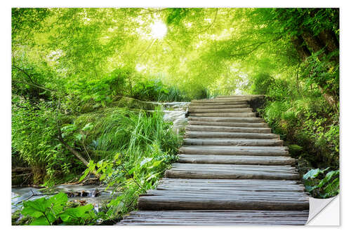 Selvklebende plakat Wooden footbridge in the fairy forest