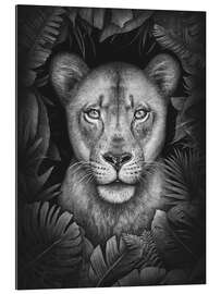 Galleriprint Lioness in the jungle