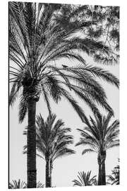 Magnettafel Palmengarten am Strand