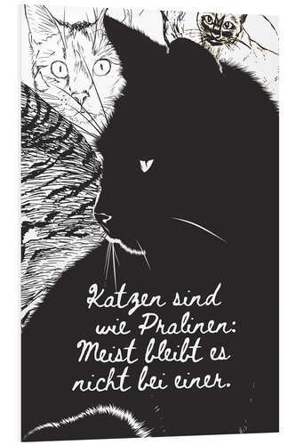Foam board print Cats are like chocolates (german)