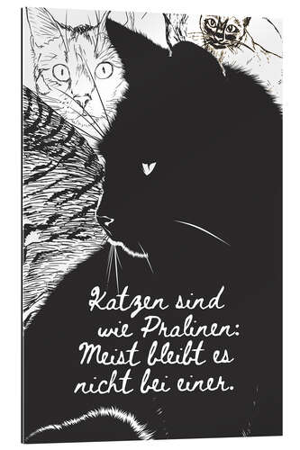 Galleriataulu Cats are like chocolates (german)
