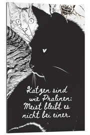 Galleriataulu Cats are like chocolates (german)