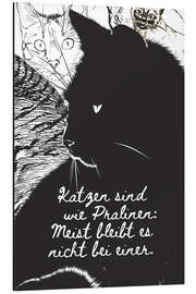 Magnettafel Katzen sind wie Pralinen