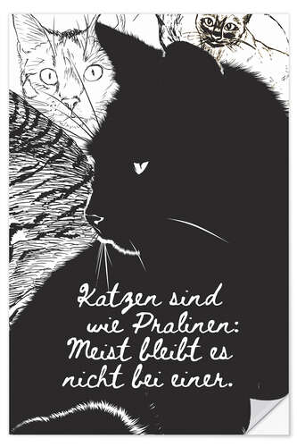 Naklejka na ścianę Cats are like chocolates (german)