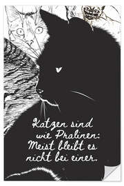 Wall sticker Cats are like chocolates (german)