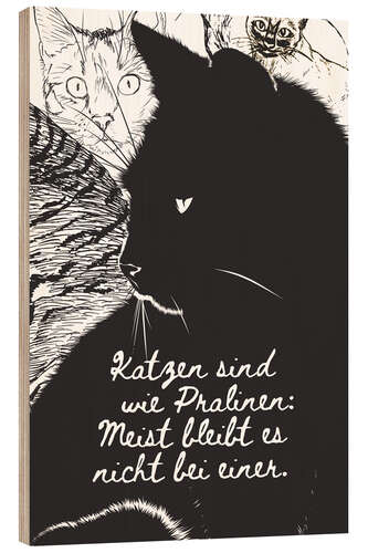 Holzbild Katzen sind wie Pralinen