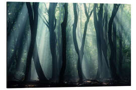 Magnettafel Aquarius